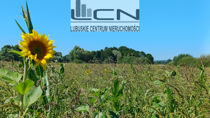 Działka Sprzedaż Włostów 1
