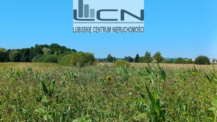 Działka Sprzedaż Włostów 4
