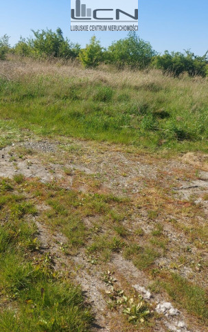 Działka Sprzedaż Kłodawa 6