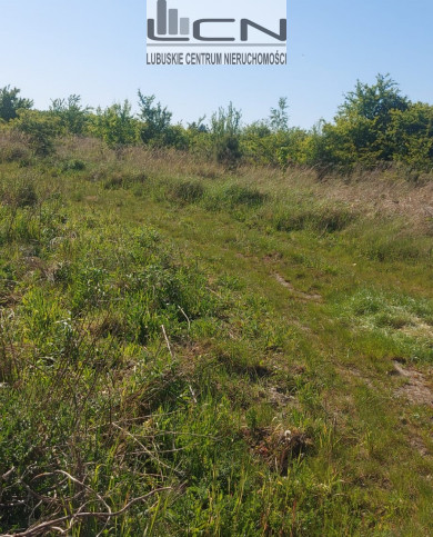 Działka Sprzedaż Kłodawa 8