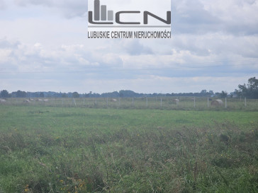 Działka Sprzedaż Prądocin