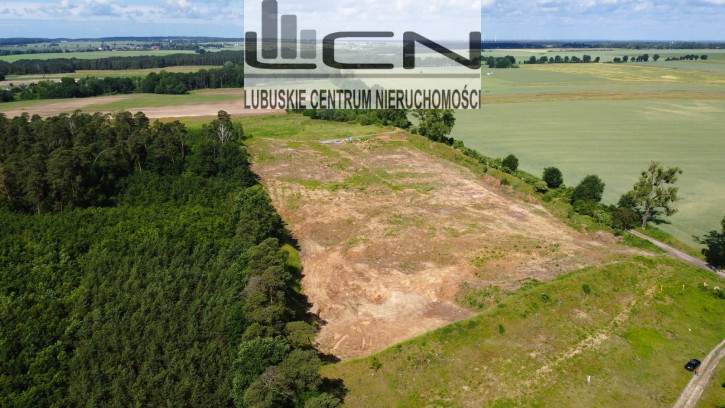 Działka Sprzedaż Baczyna-Kolonia 8