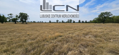 Dom Sprzedaż Kostrzyn Nad Odrą