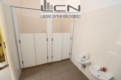 Lokal Wynajem Gorzów Wielkopolski Centrum