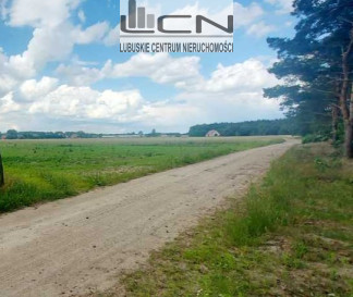 Działka Sprzedaż Dziersławice