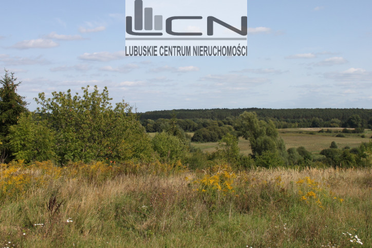 Działka Sprzedaż Chwalęcice 1