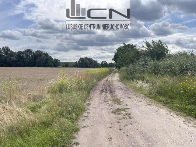 Działka Sprzedaż Gorzów Wielkopolski Zieleniec Niwicka 1