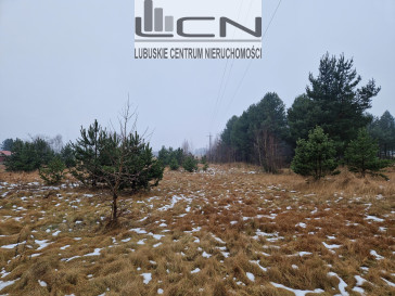 Działka Sprzedaż Łośno