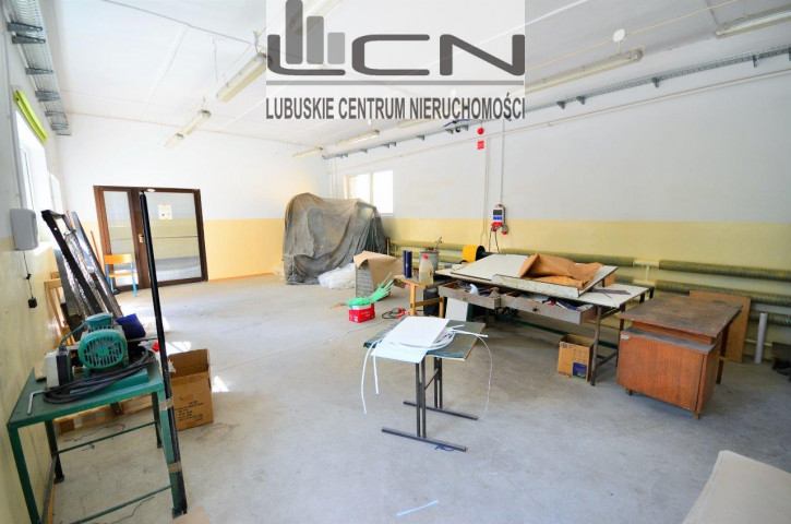 Lokal Wynajem Gorzów Wielkopolski Centrum 1