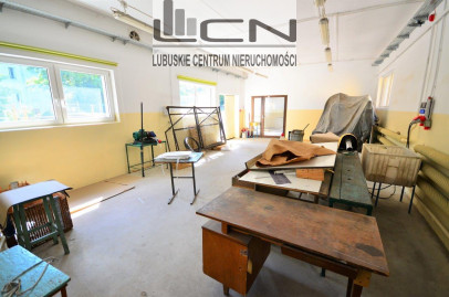 Lokal Wynajem Gorzów Wielkopolski Centrum