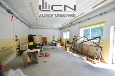Lokal Wynajem Gorzów Wielkopolski Centrum