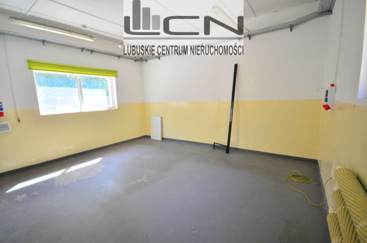 Lokal Wynajem Gorzów Wielkopolski Centrum 7