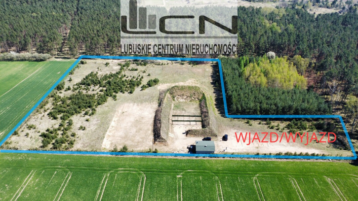 Działka Sprzedaż Płonno 3