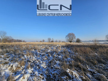 Działka Sprzedaż Ulim Rolna