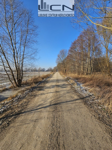 Działka Sprzedaż Ulim Rolna 4