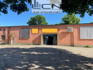 Lokal Wynajem Gorzów Wielkopolski Centrum
