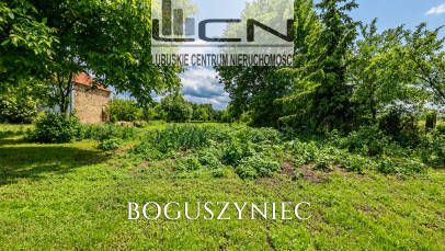Dom Sprzedaż Boguszyniec