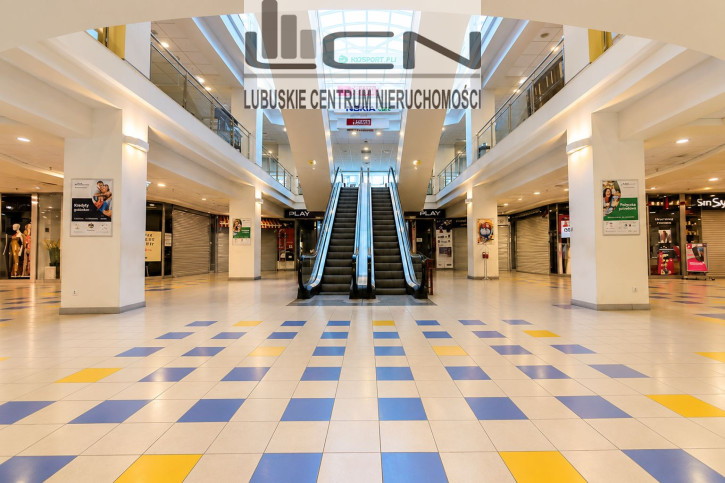 Lokal Sprzedaż Gorzów Wielkopolski Centrum 11