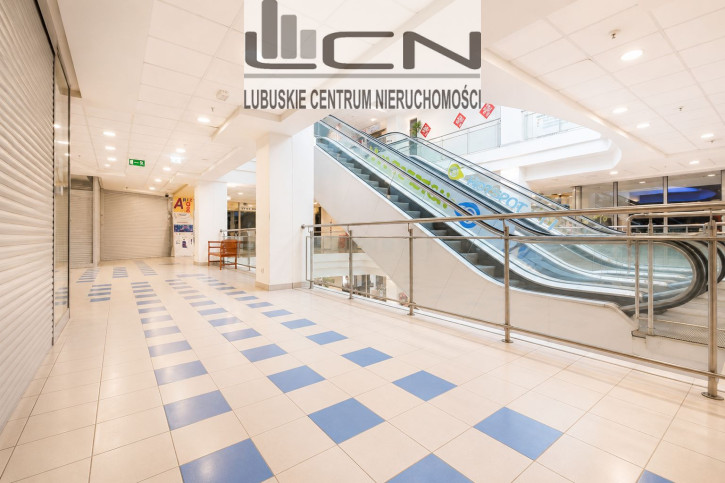 Lokal Sprzedaż Gorzów Wielkopolski Centrum 13