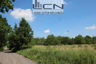 Działka Sprzedaż Gorzów Wielkopolski Chróścik Zbożowa