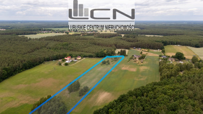 Działka Sprzedaż Nowe Dzieduszyce