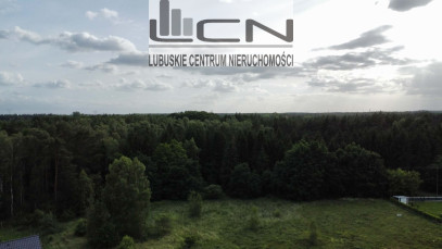 Działka Sprzedaż Skwierzyna Poziomkowa