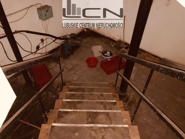 Lokal Wynajem Gorzów Wielkopolski Centrum 5