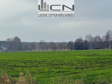 Działka Sprzedaż Gorzów Wielkopolski Zieleniec