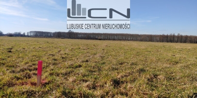 Działka Sprzedaż Bolemin