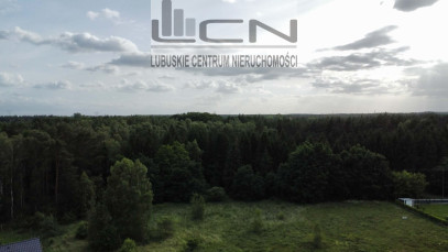 Działka Sprzedaż Skwierzyna Poziomkowa