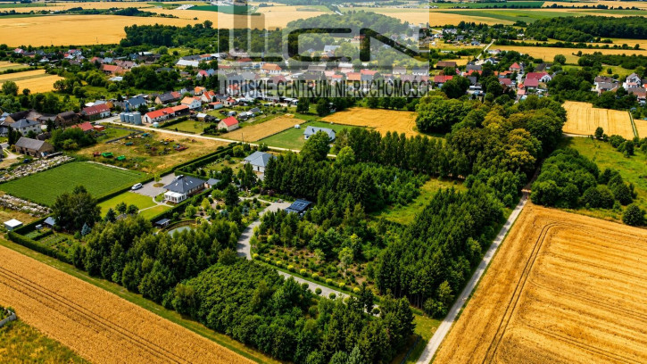 Działka Sprzedaż Gralewo 3