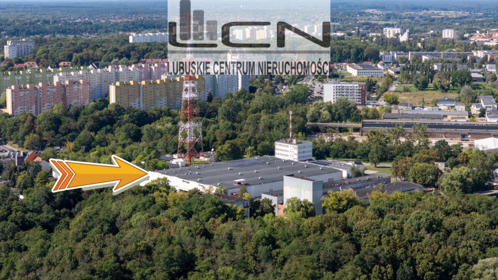 Obiekt Wynajem Gorzów Wielkopolski 3