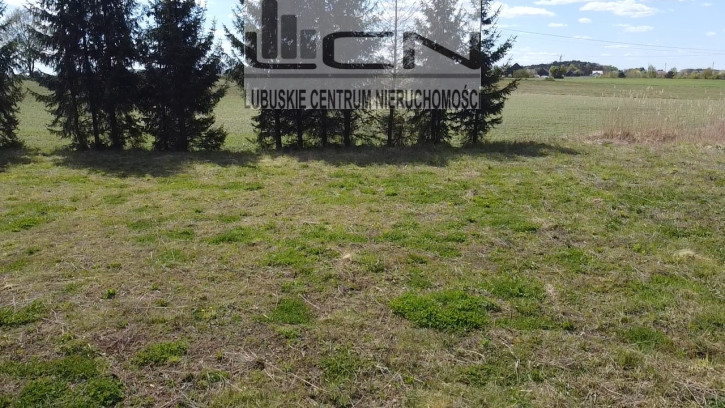 Działka Sprzedaż Kłodawa 8