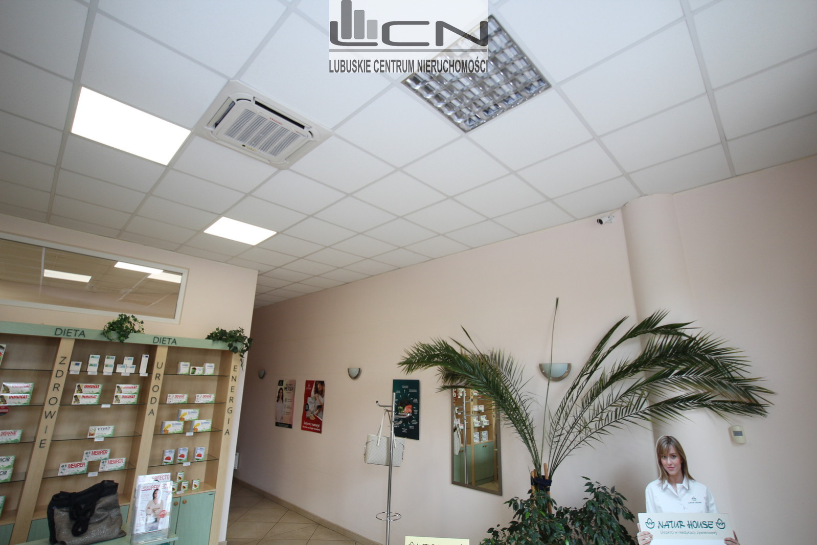 Lokal Sprzedaż Gorzów Wielkopolski Śródmieście 6