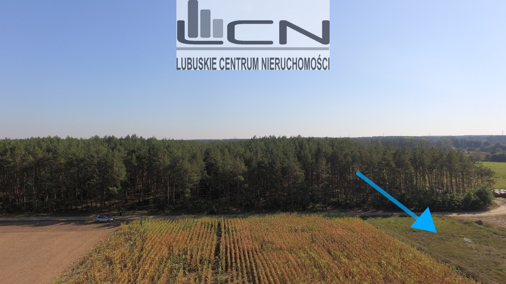 Działka Sprzedaż Dziersławice