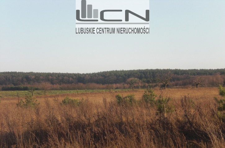 Działka Sprzedaż Pniów 1