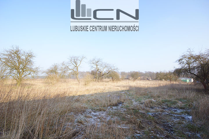 Działka Sprzedaż Wysoka 4