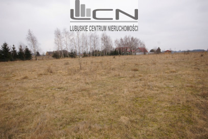 Działka Sprzedaż Sulęcin
