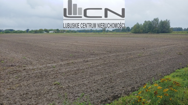 Działka Sprzedaż Gorzów Wielkopolski Zieleniec 1