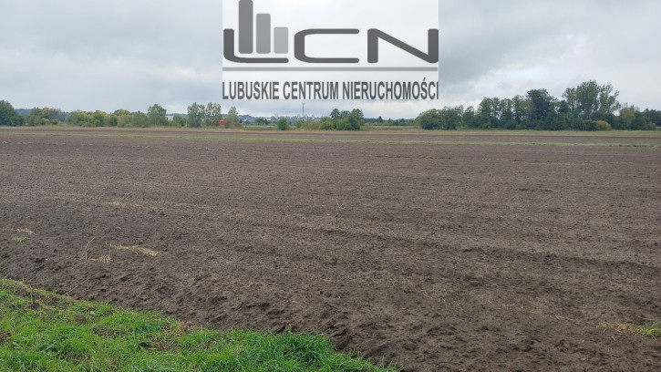Działka Sprzedaż Gorzów Wielkopolski Zieleniec 3