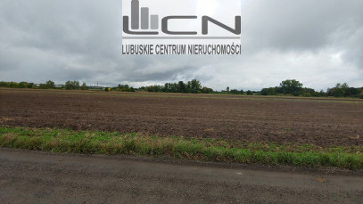 Działka Sprzedaż Gorzów Wielkopolski Zieleniec