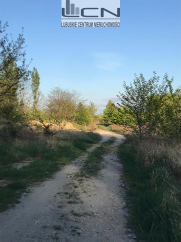 Działka Sprzedaż Gorzów Wielkopolski 5