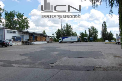 Lokal Wynajem Gorzów Wielkopolski