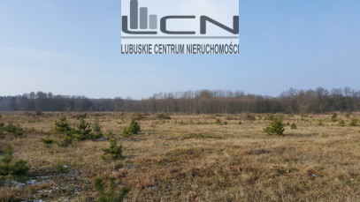 Działka Sprzedaż Santocko