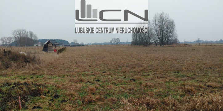 Działka Sprzedaż Łagodzin 1
