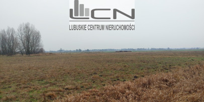 Działka Sprzedaż Łagodzin