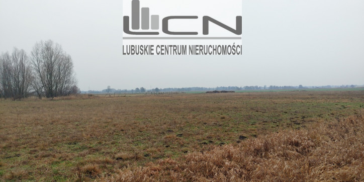 Działka Sprzedaż Łagodzin 3
