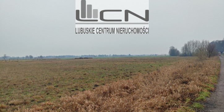 Działka Sprzedaż Łagodzin 4
