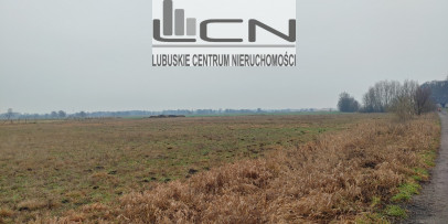 Działka Sprzedaż Łagodzin