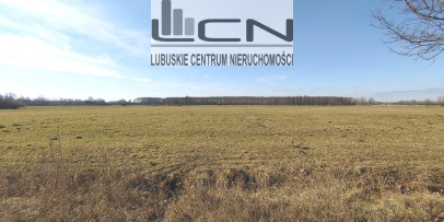 Działka Sprzedaż Bolemin